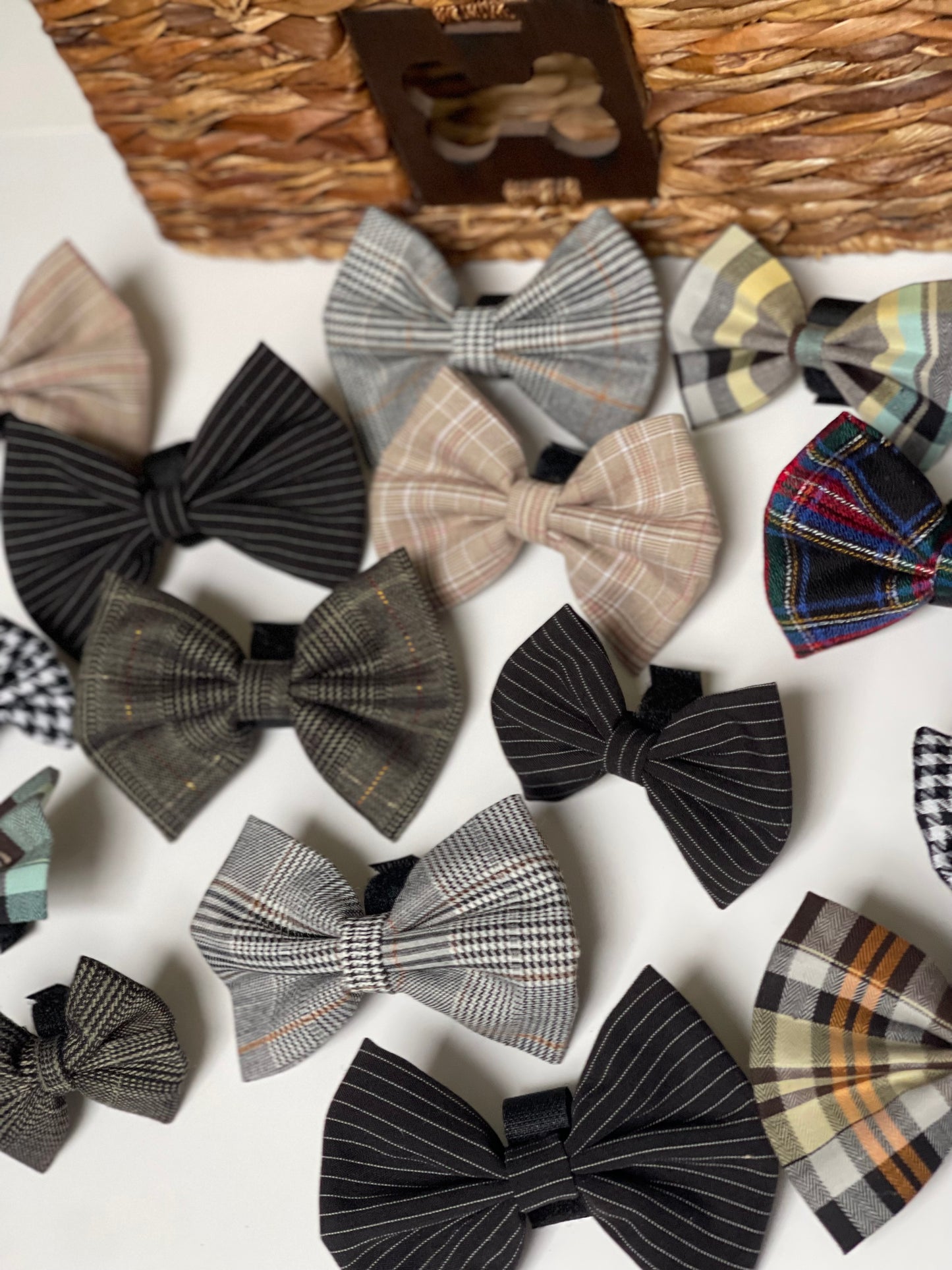 Boys Bowtie Budget Bundle