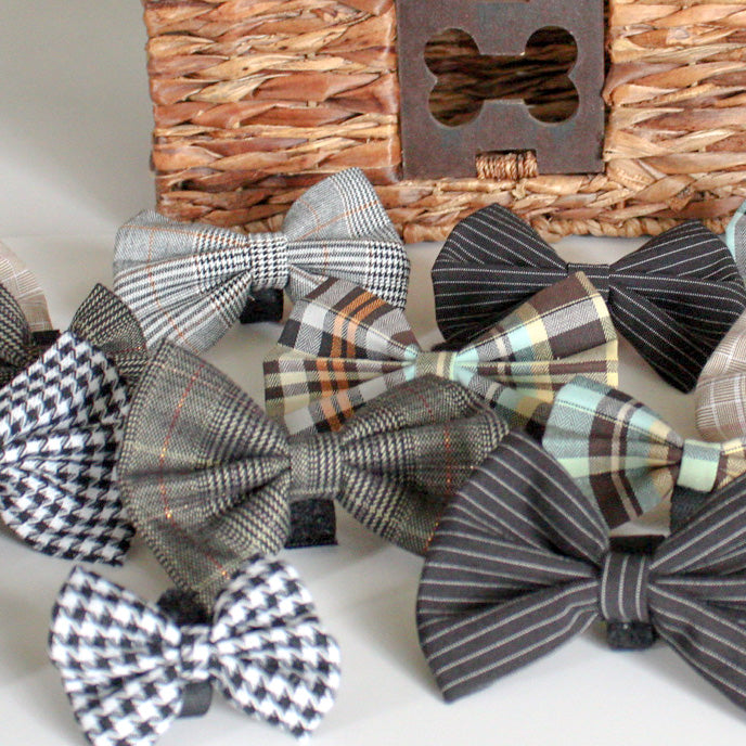 Boys Bowtie Budget Bundle