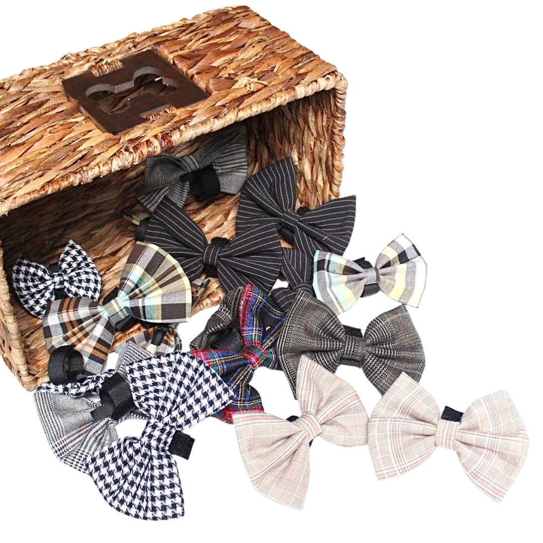 Boys Bowtie Budget Bundle