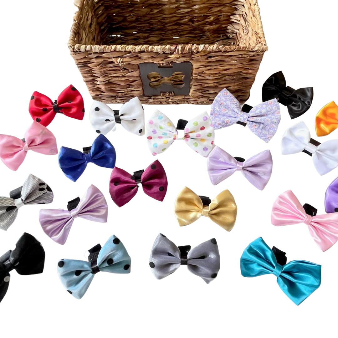 Girls Bow Bundle