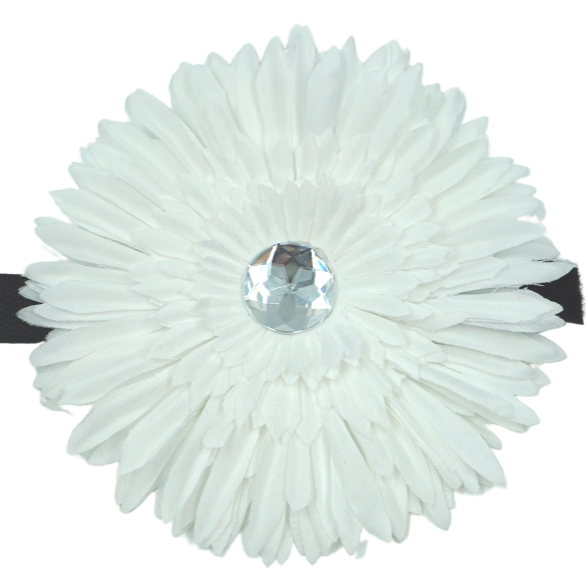 white daisy dog cat pet bow on velcro strap