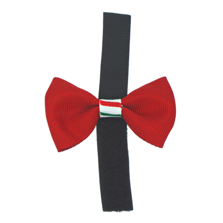 GG110CTV | 50-100 2" Dog Bows on velcro - Christmas Candy Stripe Trim