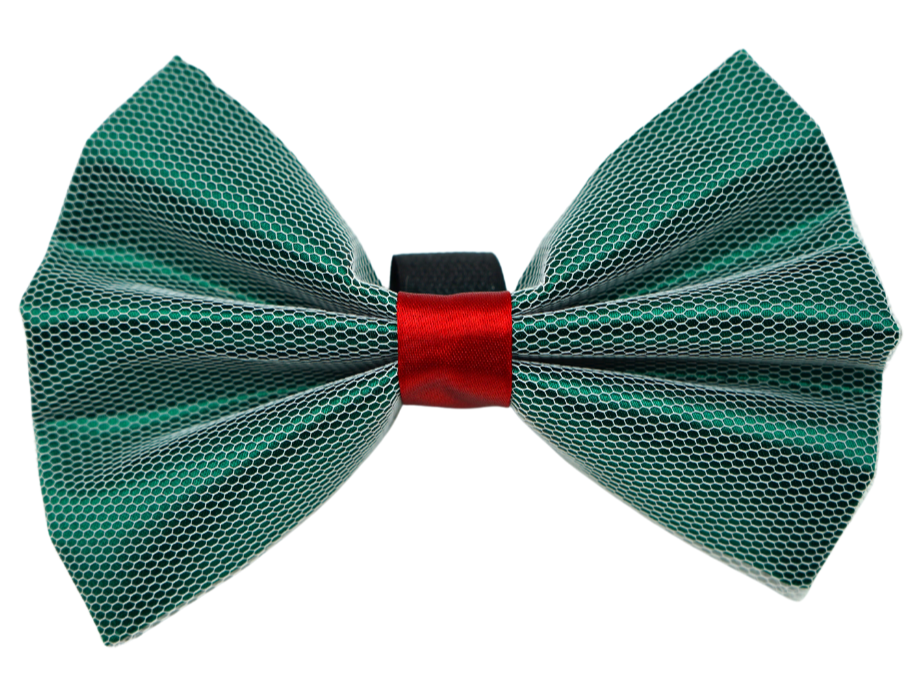 PR3004X