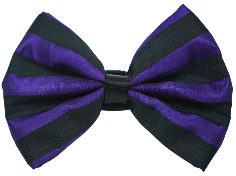 PR3006HS