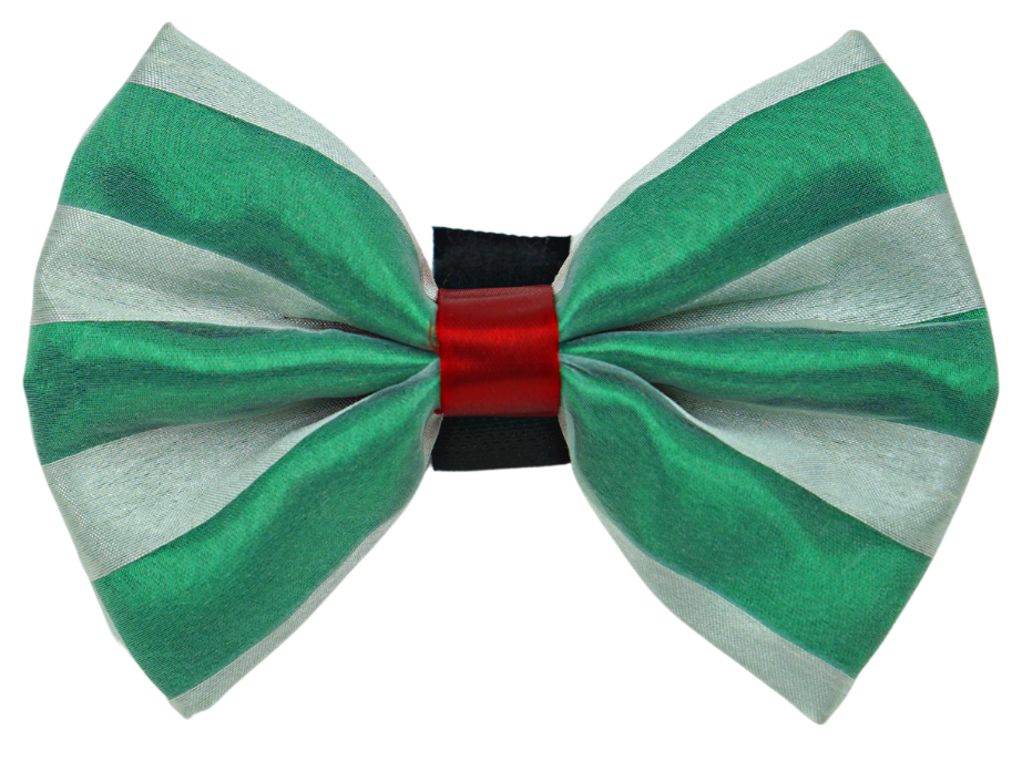 PR3006X
