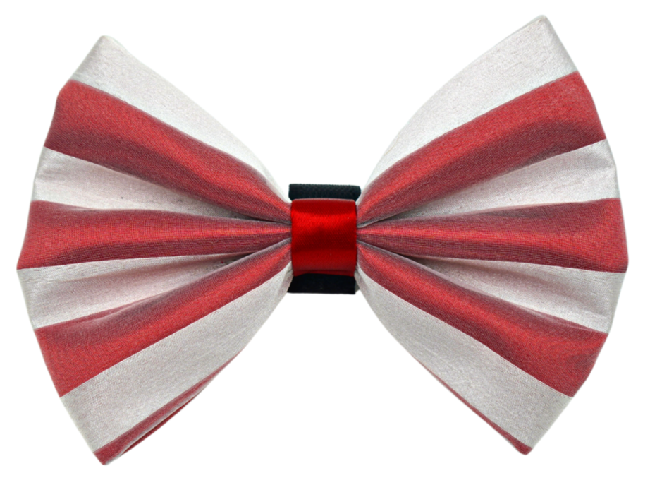 PR3006X