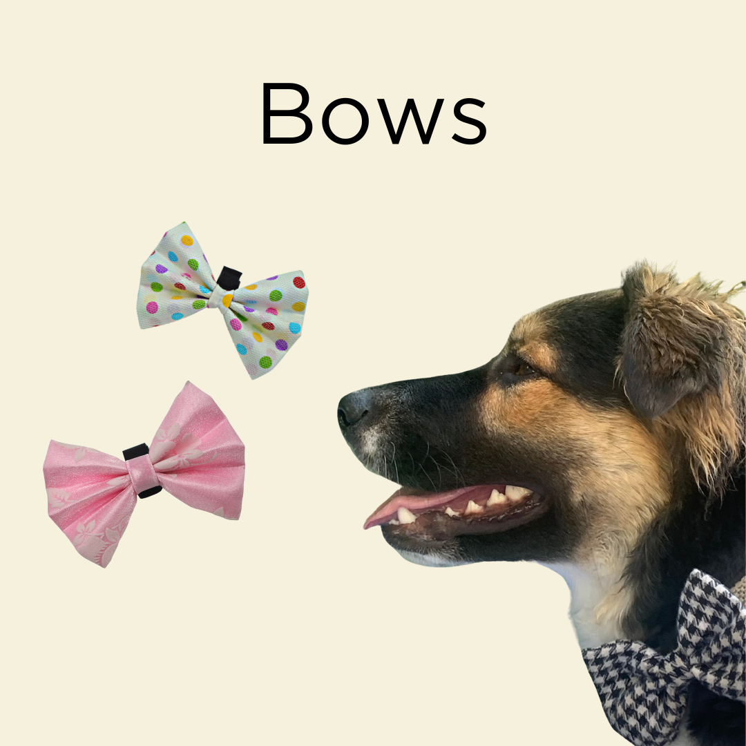 Dog Bows, dog bow tie, dog hair bows, dog grooming accessories, Pets Ribbons, Handmade in the US Dog Bows, large black and tan dog with a check patterned bow on velcro attachment with two other bows in picture