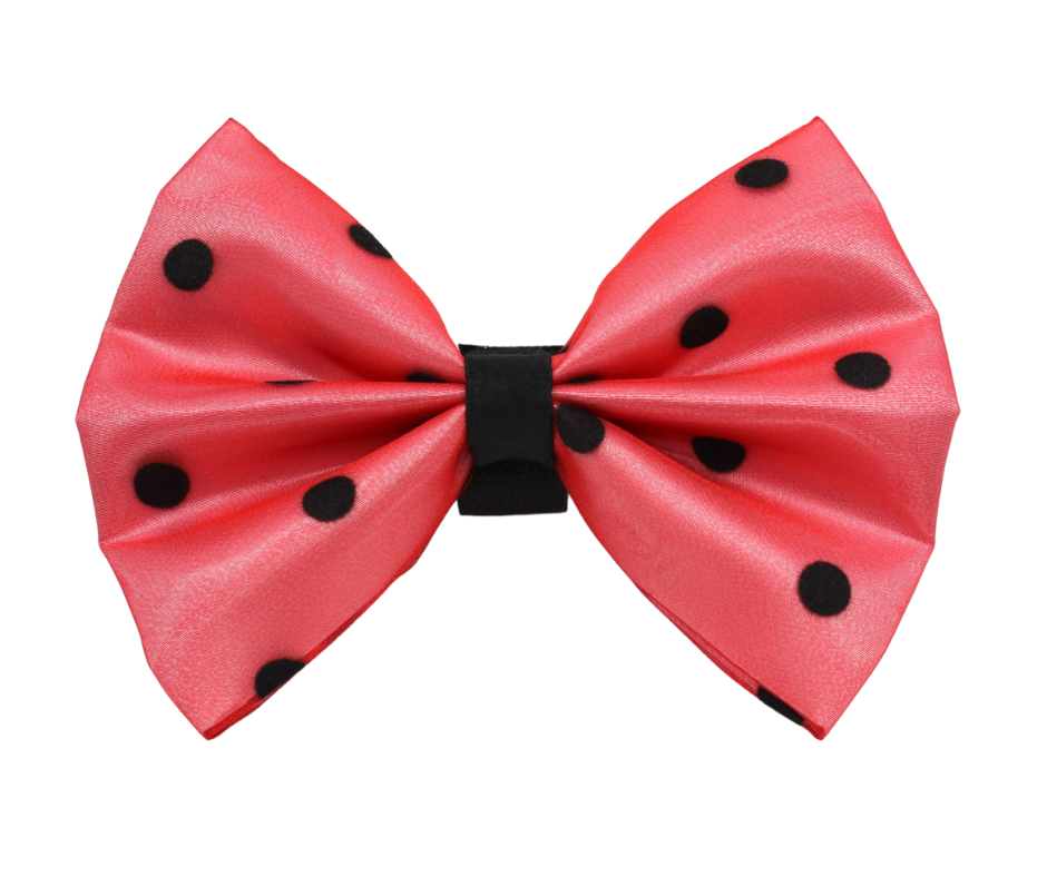 Organza and satin polka dot bow trimmed on a velcro safety fastener dog bow coral with black dot
