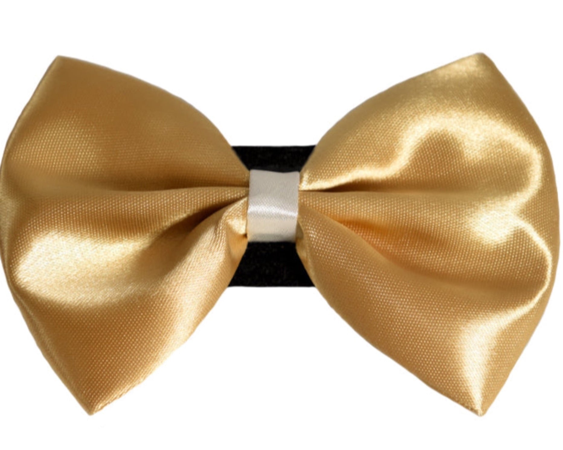 Wedding satin bow with white trim on a velcro safety fastener gold for dog