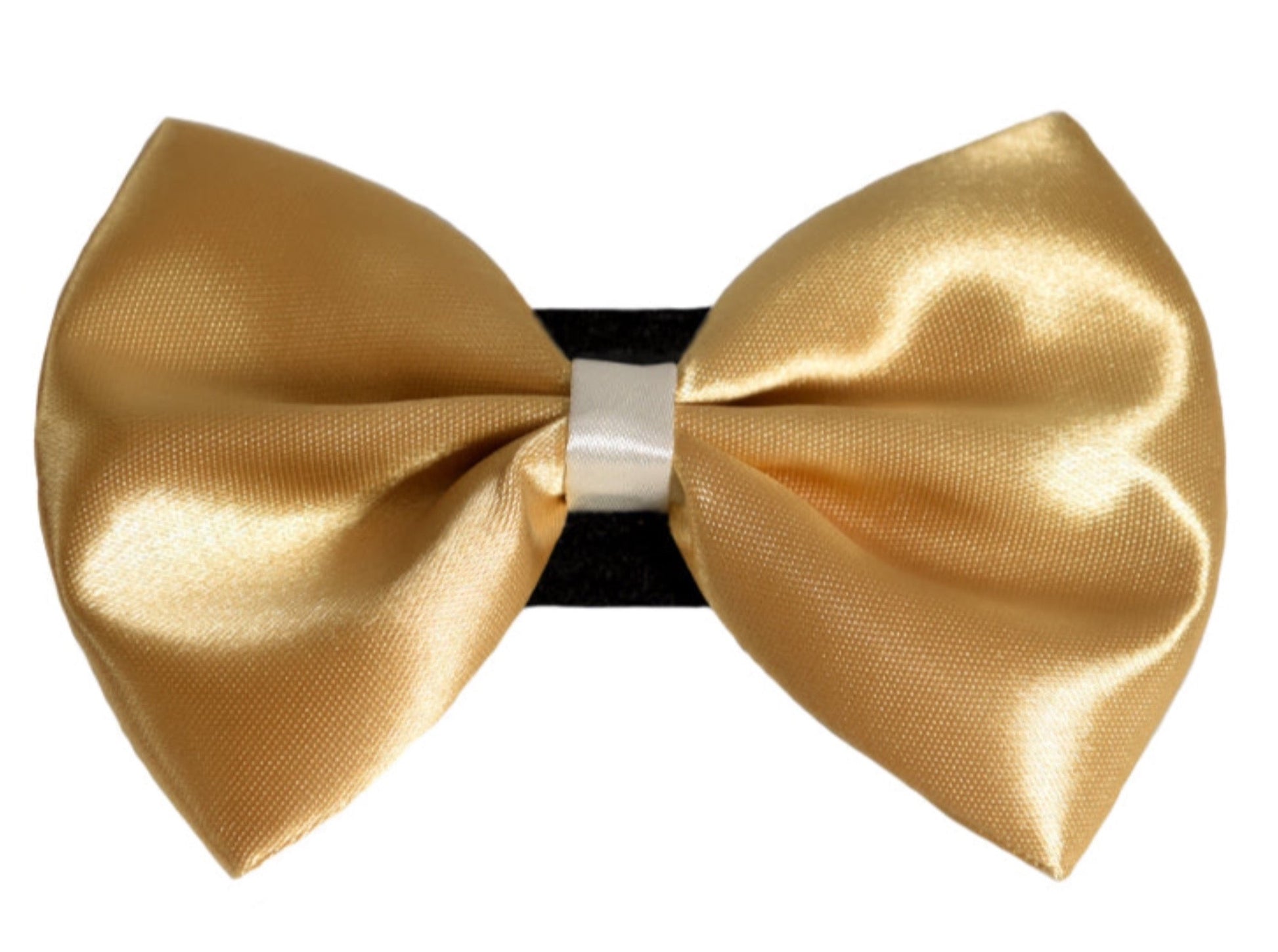 Wedding satin bow with white trim on a velcro safety fastener gold for dog