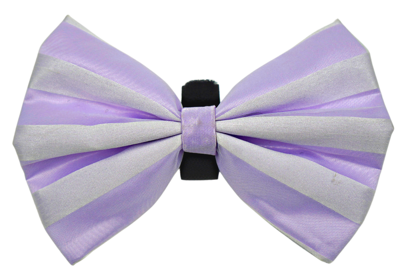 Pet Accessories for Pet Groomers – Pets Ribbons