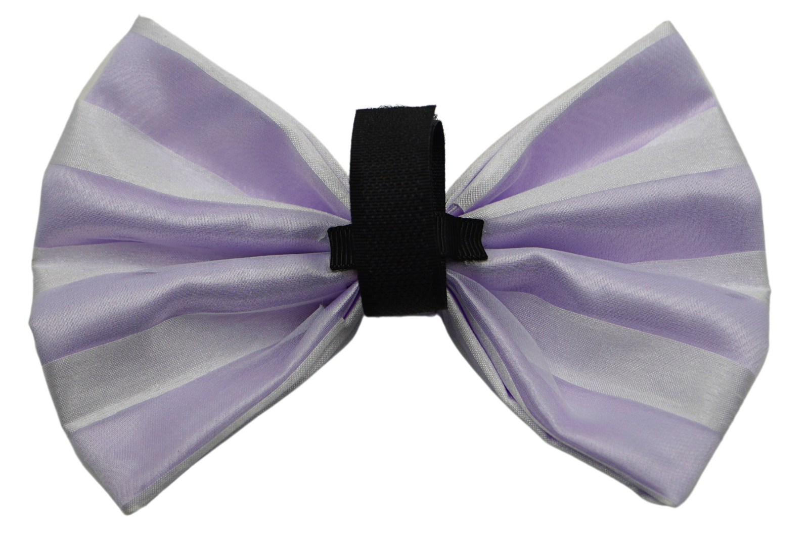 Pet Accessories for Pet Groomers – Pets Ribbons